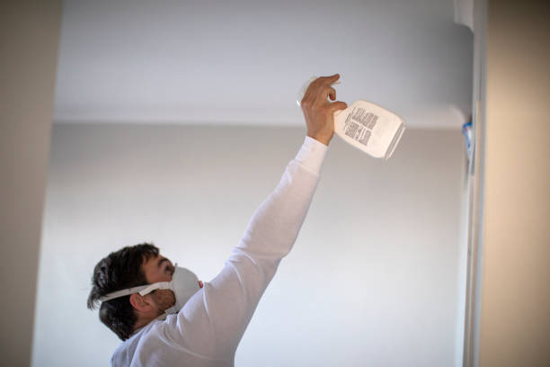 Best Commercial Mold Removal  in Sayre, PA