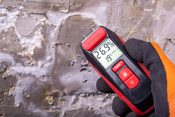 Best Attic Mold Removal  in Sayre, PA